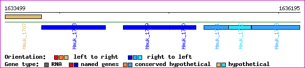 gene map
