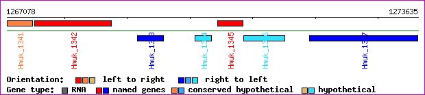 gene map