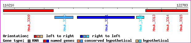 gene map
