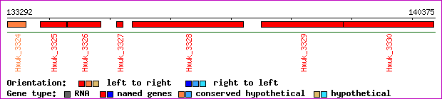 gene map