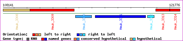 gene map