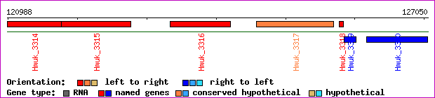 gene map