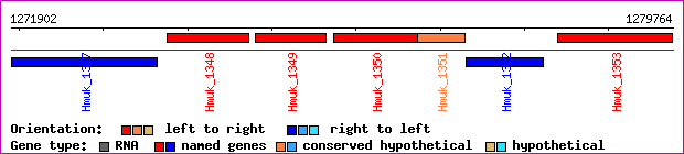 gene map