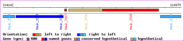 gene map