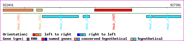 gene map