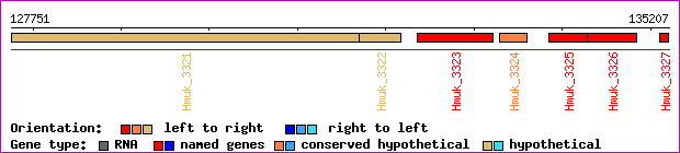 gene map