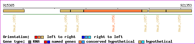 gene map