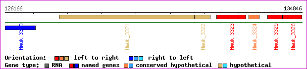 gene map