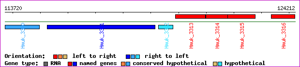 gene map