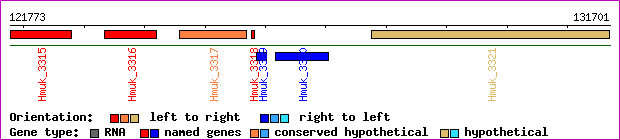 gene map