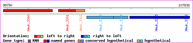 gene map