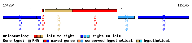 gene map