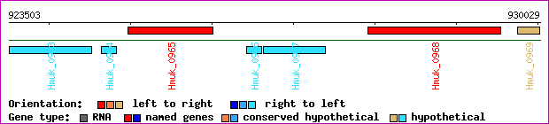 gene map