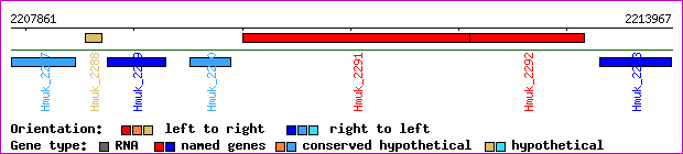 gene map