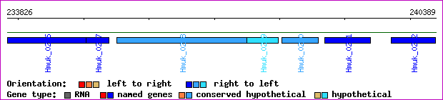 gene map