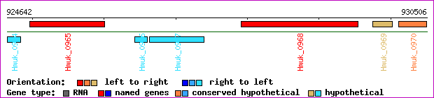 gene map