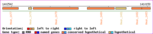 gene map
