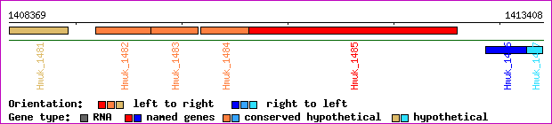 gene map