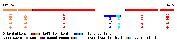 gene map