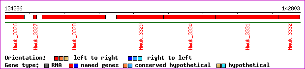 gene map