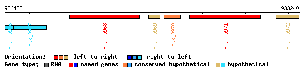 gene map