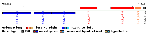 gene map