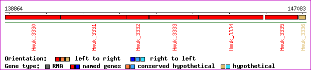gene map