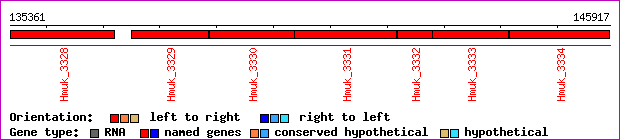 gene map