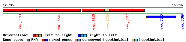 gene map
