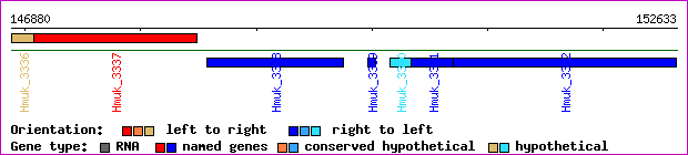 gene map