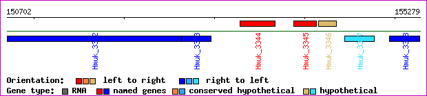 gene map