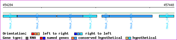gene map