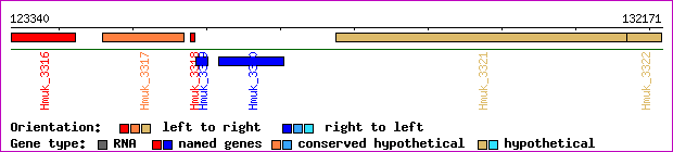 gene map