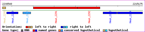 gene map