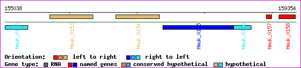 gene map