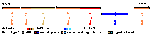 gene map