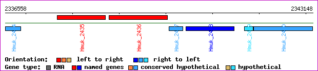 gene map
