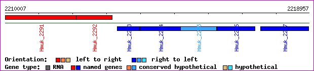 gene map