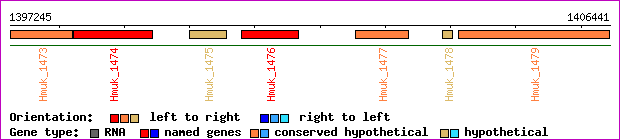 gene map
