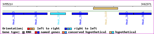 gene map