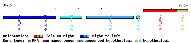 gene map