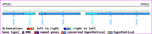 gene map