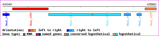 gene map
