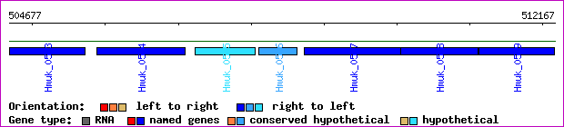 gene map