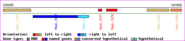 gene map