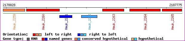 gene map