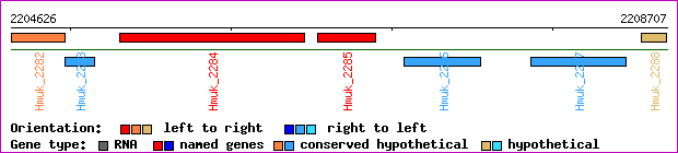 gene map