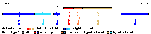 gene map