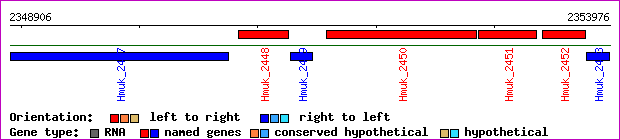 gene map