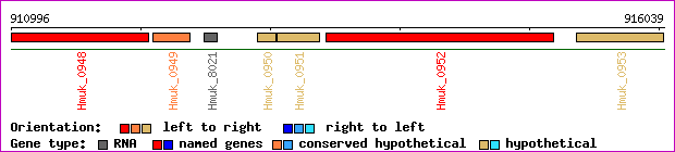 gene map